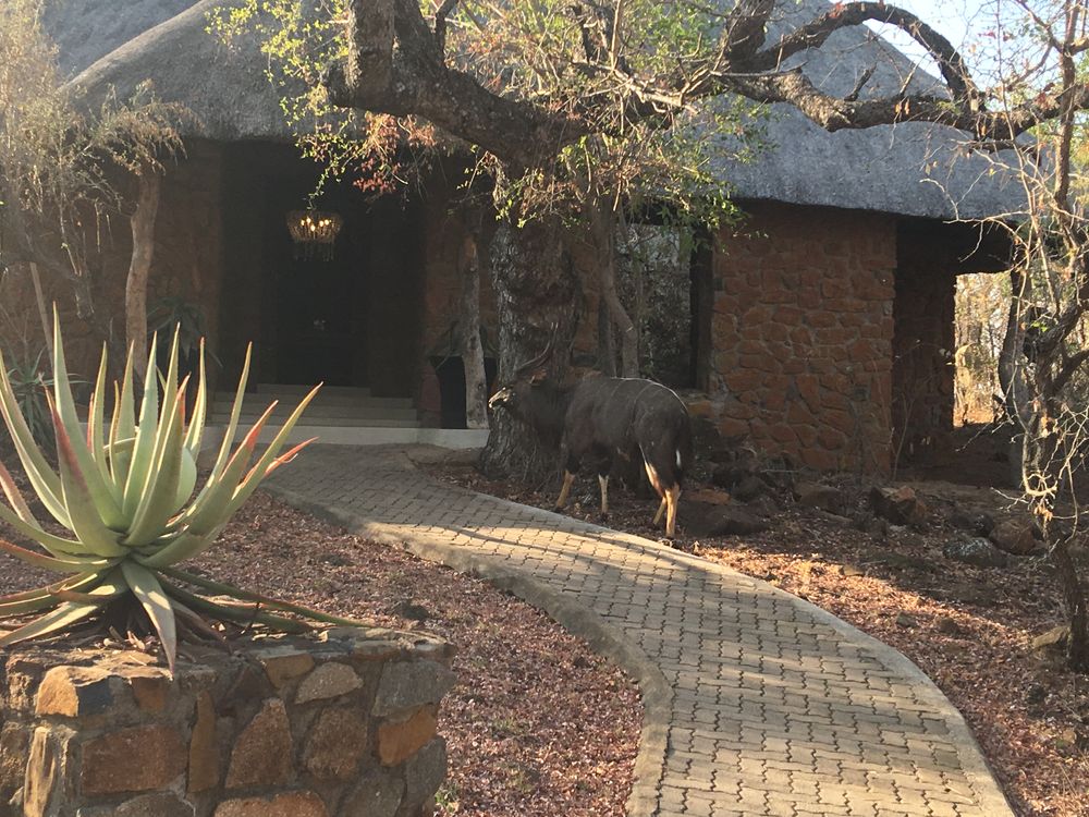 leopard-hills-lodge-2