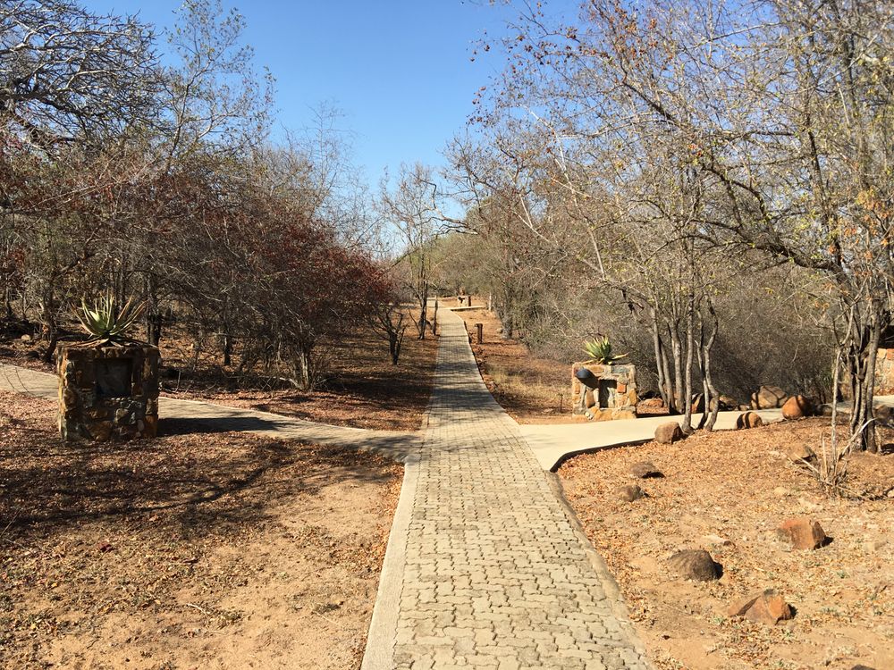 leopard-hills-lodge-5