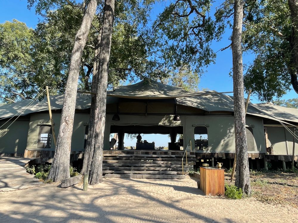 duba-plains-camp-6