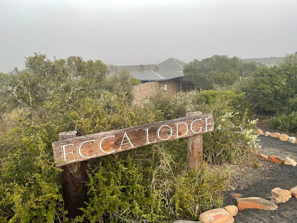 kwandwe-private-game-reserve-5