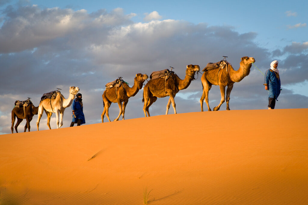 Camel trekking in the Sahara during a Marrakesh to Merzouga road trip