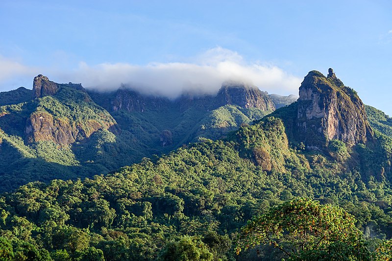 Bale Mountains National Park – Scenic highland landscapes and diverse wildlife in Ethiopia