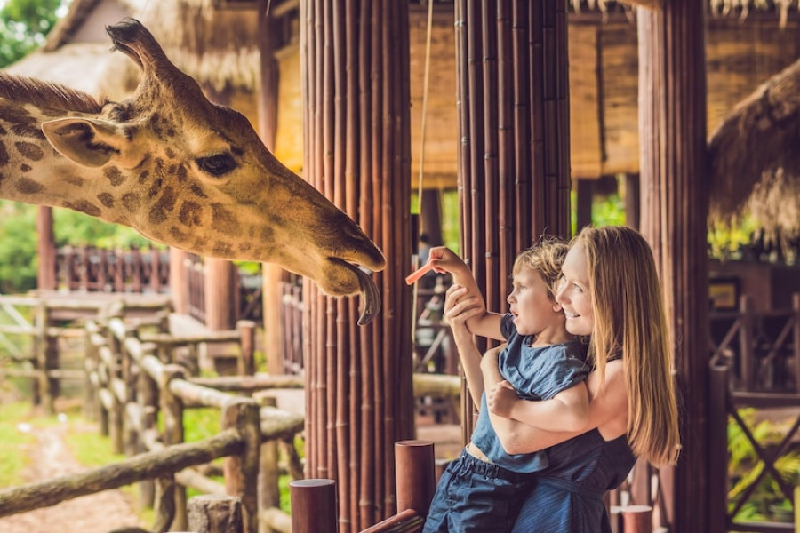 Giraffe Centre in Nairobi – Fun family experience while traveling Africa with kids