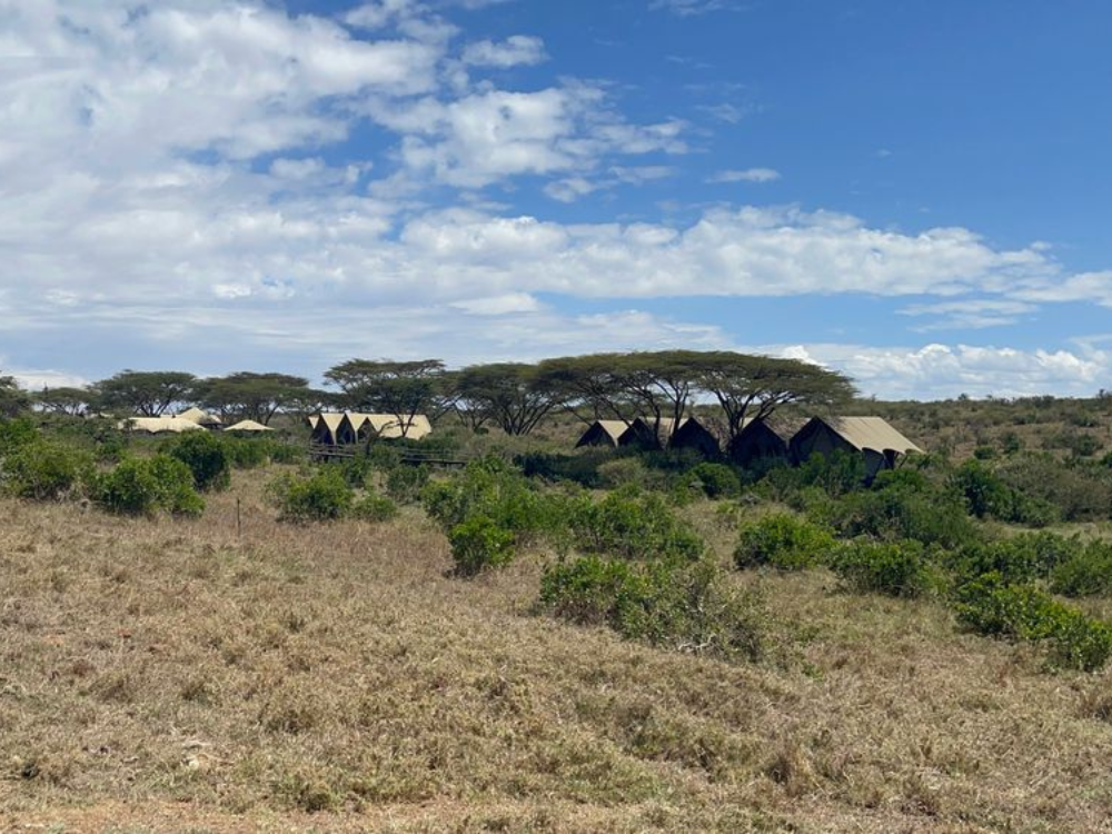 myiki camp-2