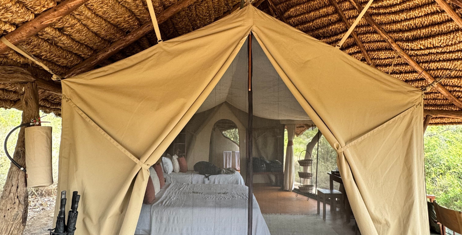 safari_banner_9