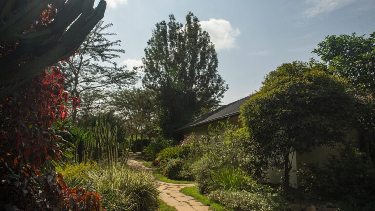 4_-_katambuga__elizapowelllodge_00023.jpg