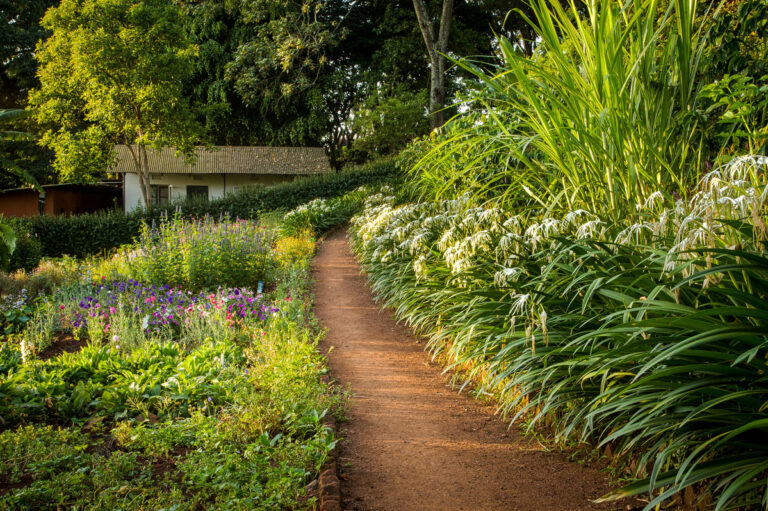 Flower_garden_5.jpg