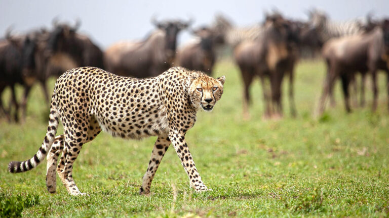 istock-2151089320.jpg