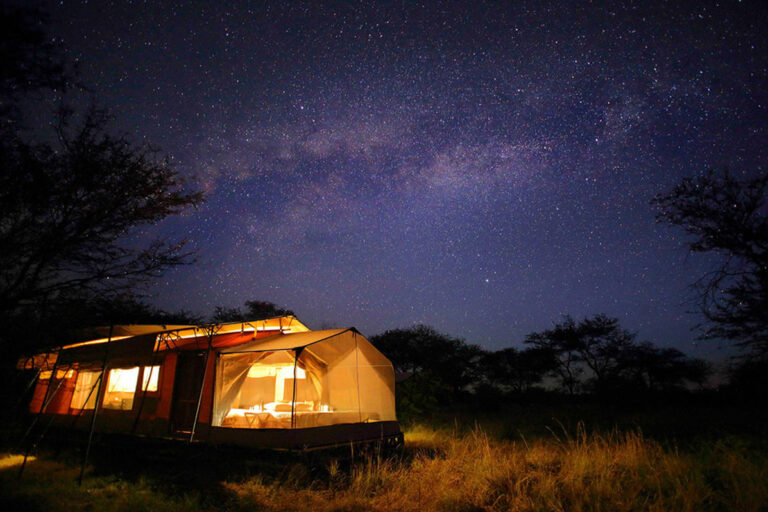 olakira_camp_-_watching_the_milky_way_at_night_from_the_stargazing_tent.jpg