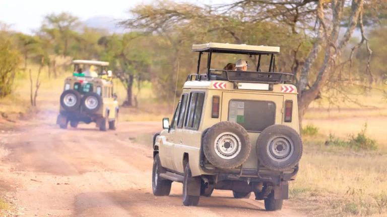 open-vehicle game drives