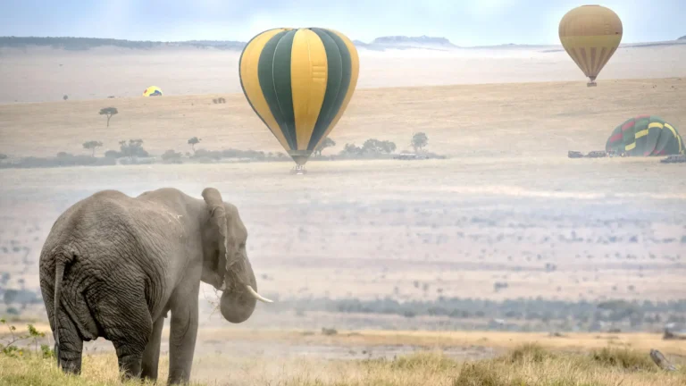 balloon flights