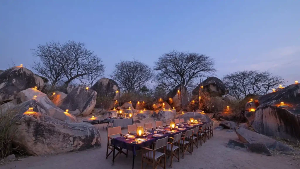 Ruaha National Park stylish lodge tucked