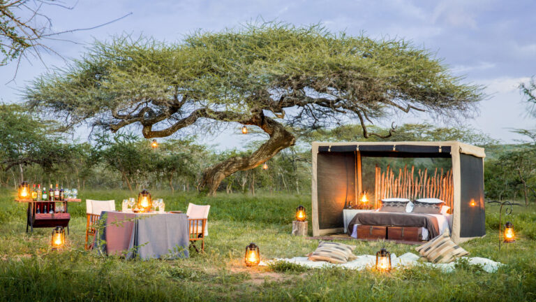 Legendary Mwiba Lodge