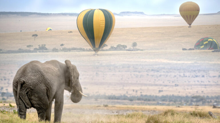 masai_mara_national_reserve-shutterstock-176735597