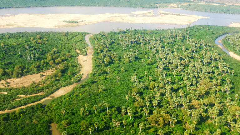 nyerere_national_park-istock-1026656292