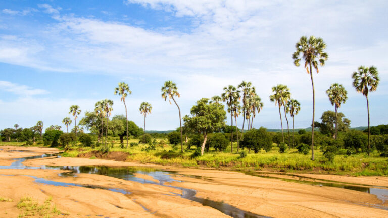 ruaha_national_park_-_villiers_steyn-_shutterstock_88912096