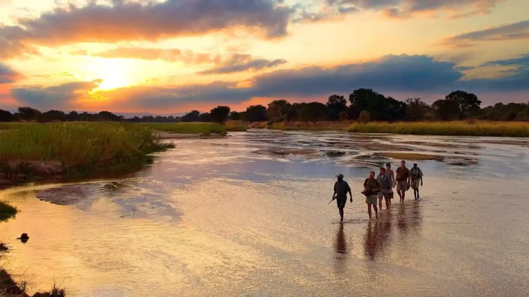 South Luangwa Walking Safari (Mobile Camping)
