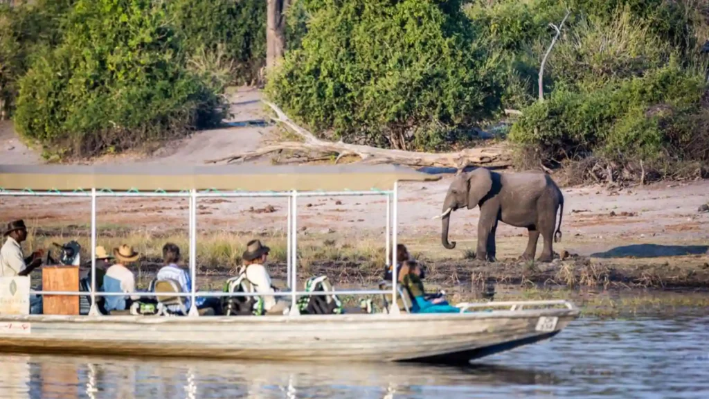 budget-chobe-park-3