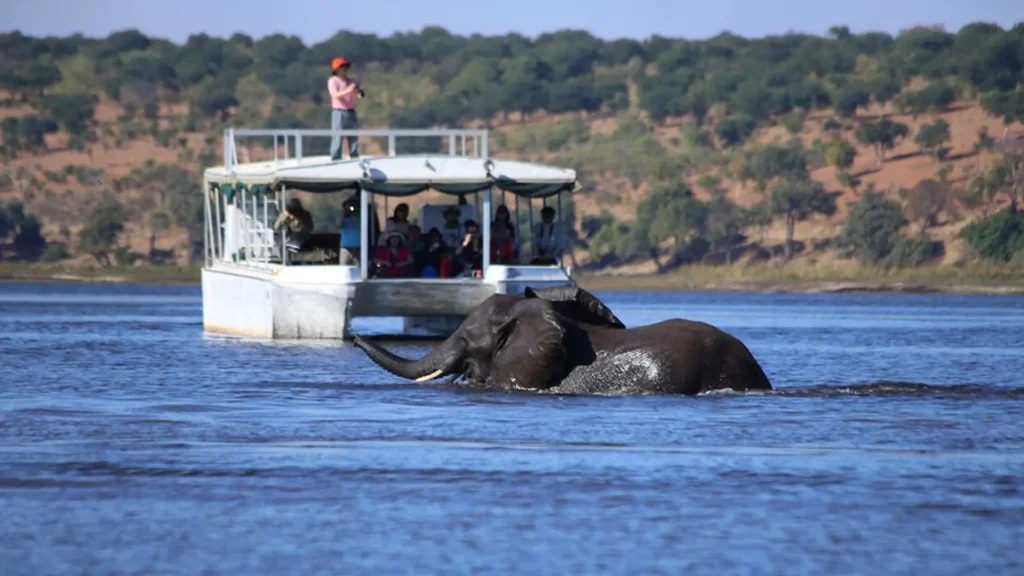budget-chobe-park-4