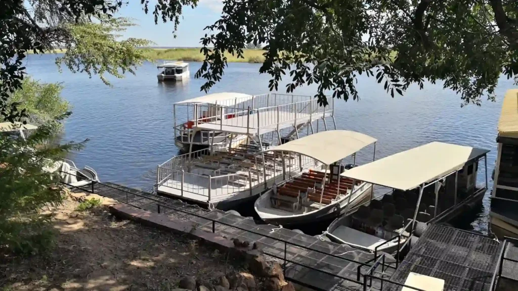 budget-chobe-park-8