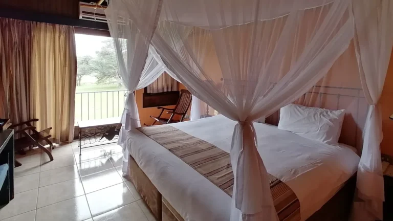 budget-hwange-5