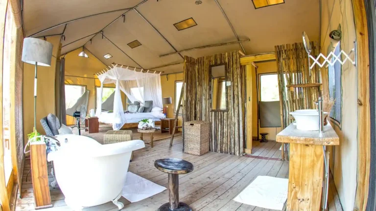 hwange-park-10