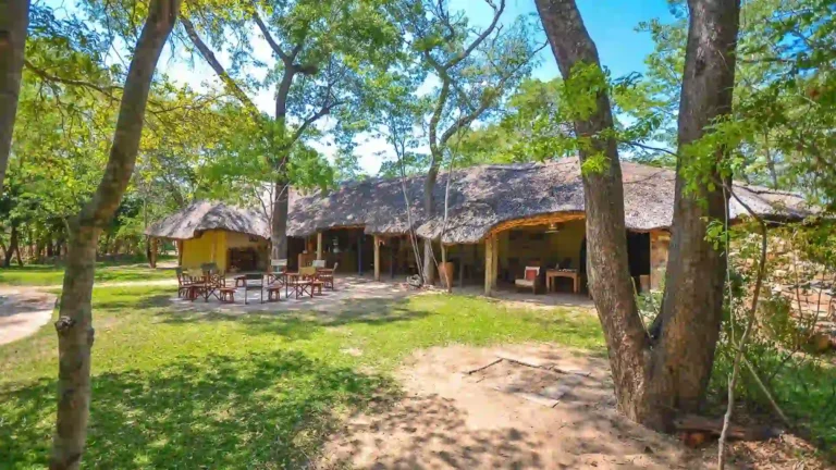 hwange-park-2