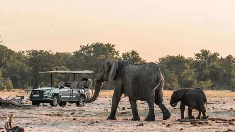 hwange-park-7