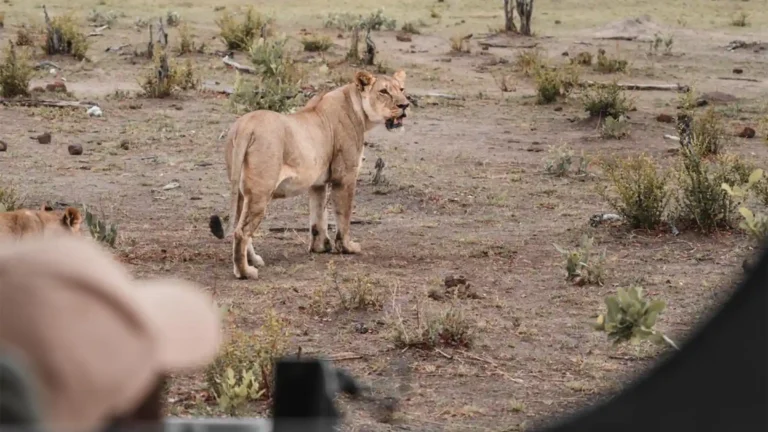 hwange-park-9