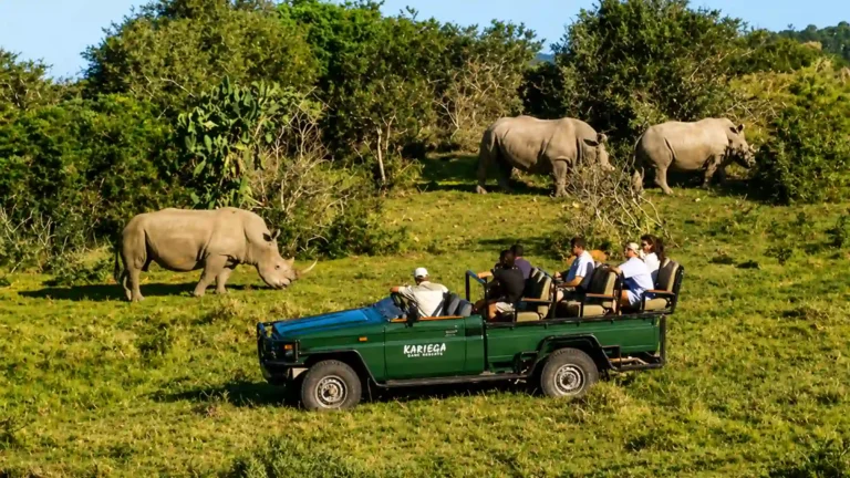 kariege-private-game-reserve-2