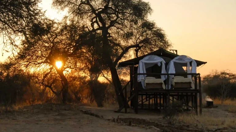 luxury-hwange-5