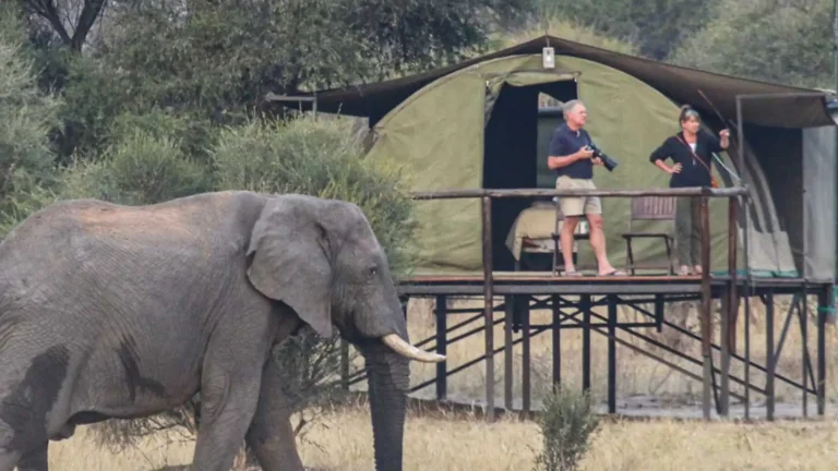 luxury-hwange-7