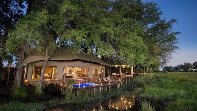 luxury-okavango-4