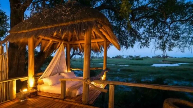 luxury-okavango-6