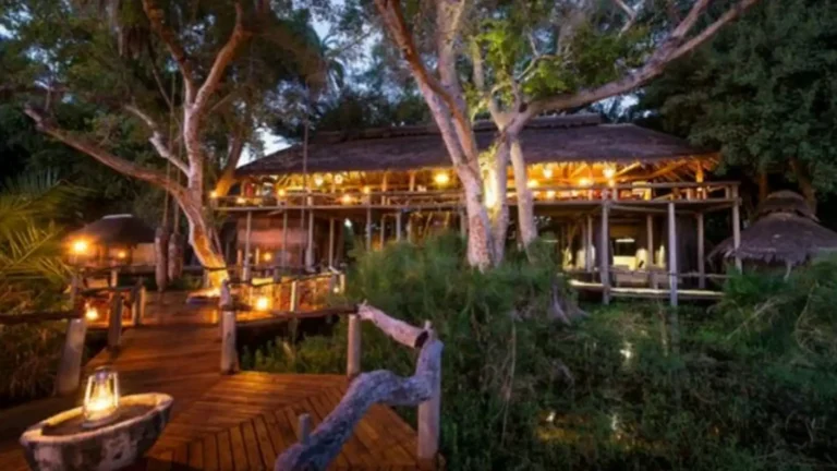 luxury-okavango-8