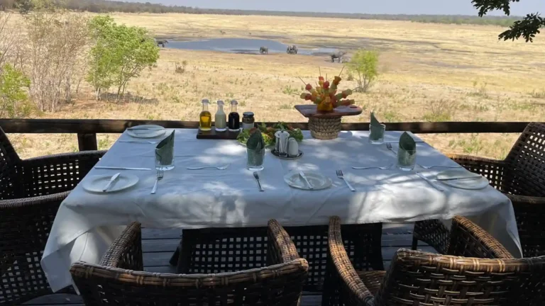 premium-hwange-5