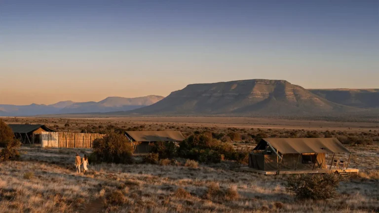 samara-plains-camp-sunrise-maike-mcneill