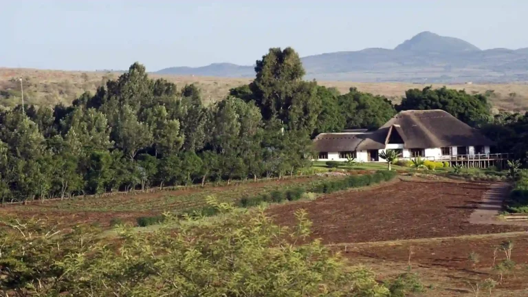 NT-premium-Ngorongoro-crater-3