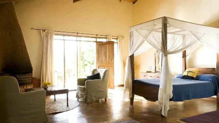 NT-premium-Ngorongoro-crater-4