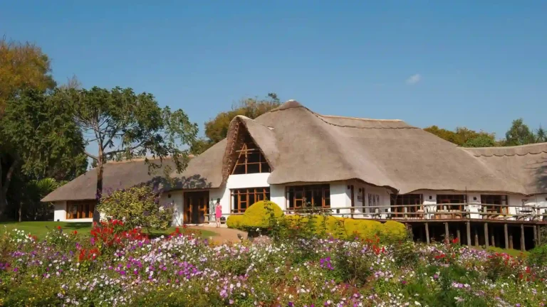 NT-premium-Ngorongoro-crater-5