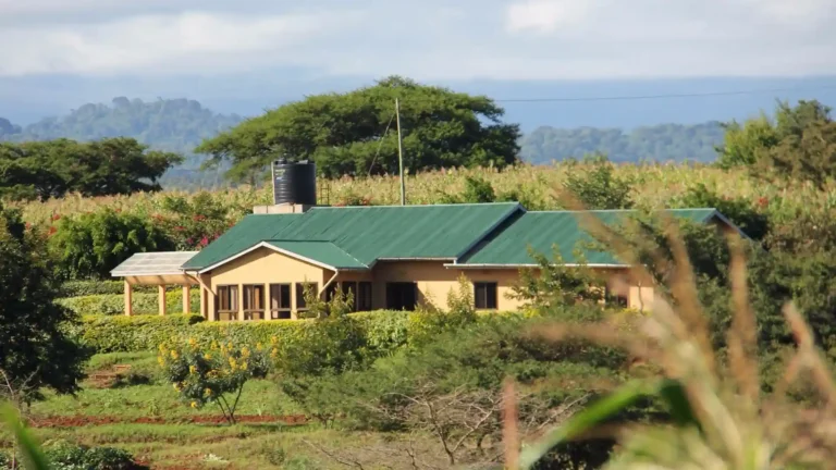 NT-premium-Ngorongoro-crater-9