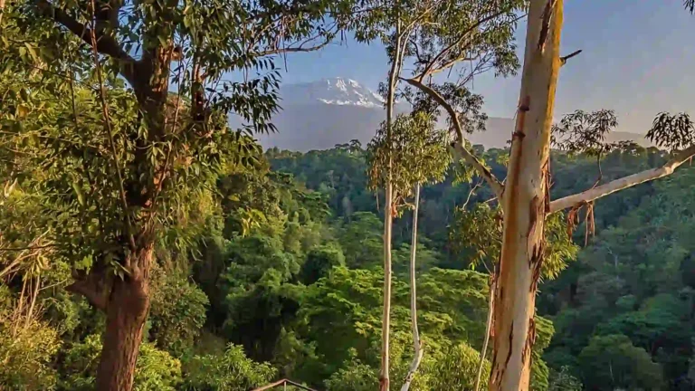 Safrica-luxurysafari-Rmoshi-10