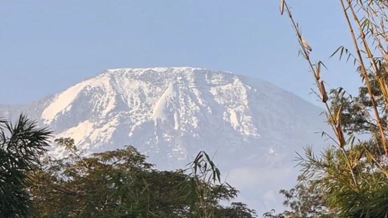 Safrica-luxurysafari-Rmoshi-3