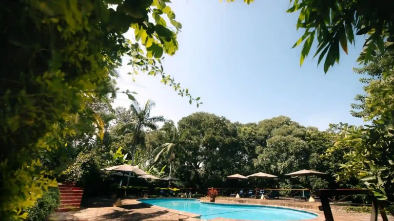 Safrica-luxurysafari-Rmoshi-4