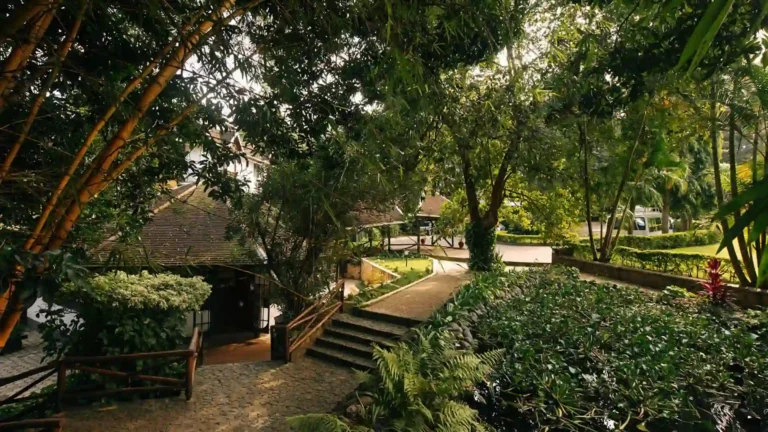Safrica-luxurysafari-Rmoshi-5
