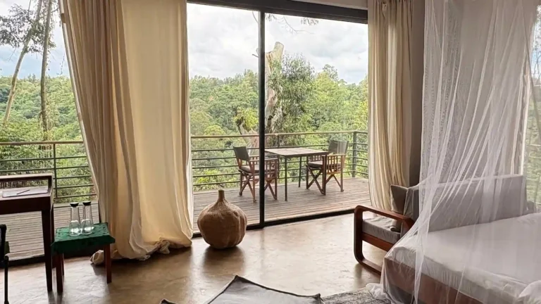 Safrica-luxurysafari-Rmoshi-7