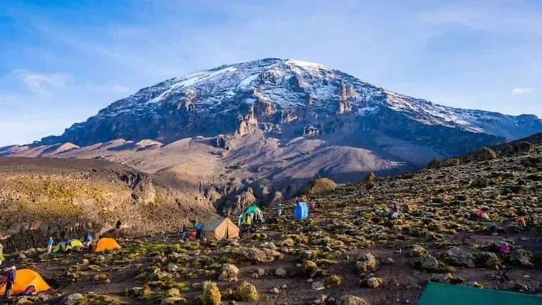 Safrica-luxurysafari-mount-5
