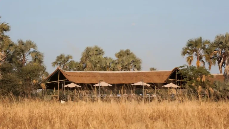 Tarangire-NP-3