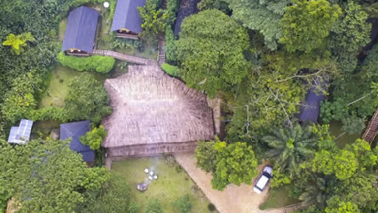 US-BIF-2