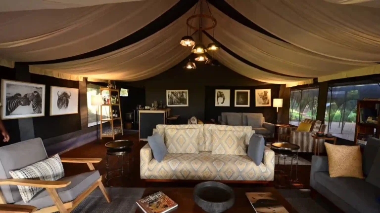spotlight-luxury-NC-5